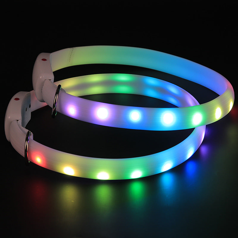 Luminous LED Dog Collar – Running Safety Light