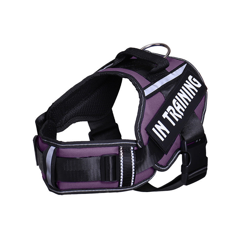 Reflective Dog Leash for Chest Harness – Safe Walking Lead