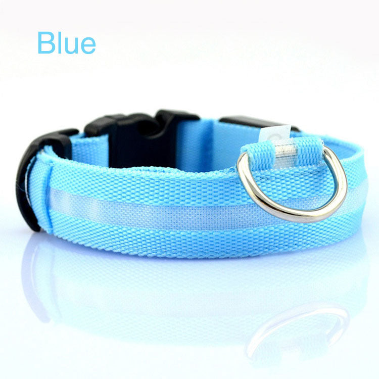 Safety Dog LED Collar – High Visibility Night Light