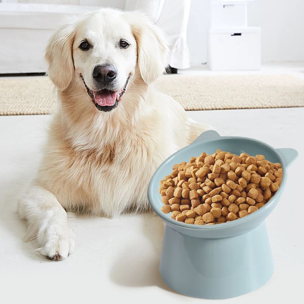 Elevated Tilted Pet Bowl – Anti Vomiting Feeding Dish