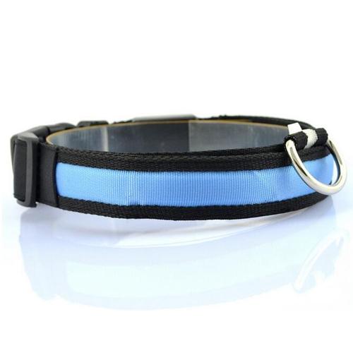 Vibrant LED Dog Collar – Bright Night Glow