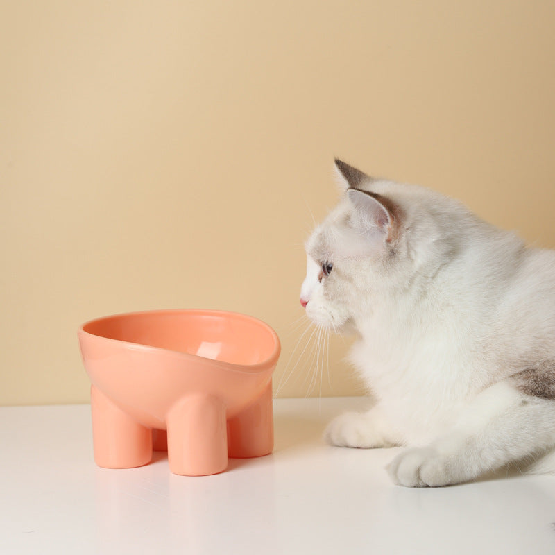 Tilted Raised Pet Bowl – Stress Free Feeding