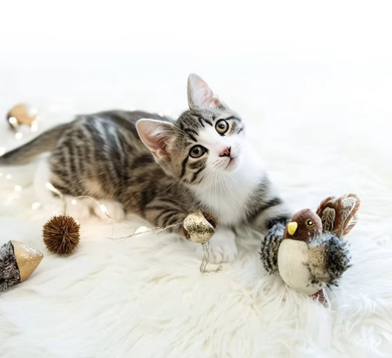 Electric Chirping Bird Cat Toy – Feather & Catnip