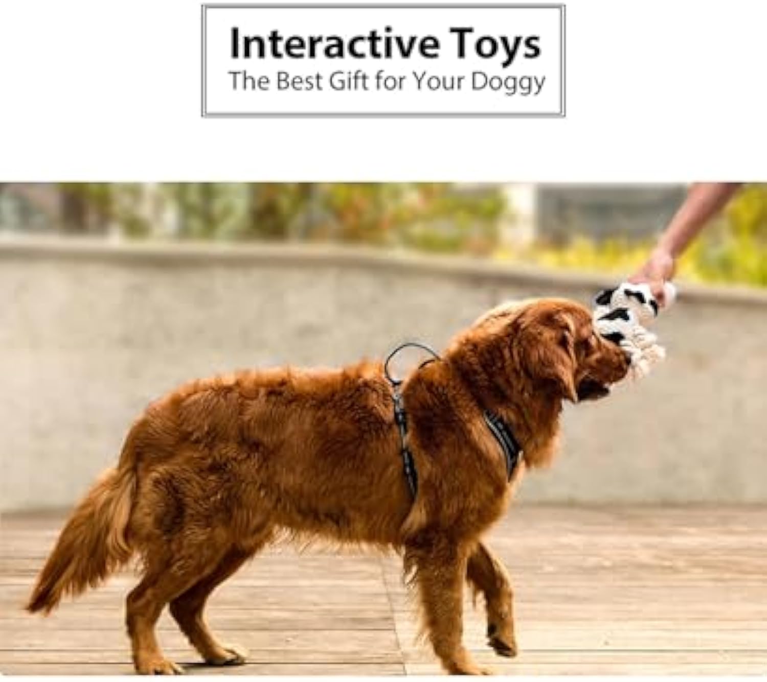 Squeaky Cow Dog Toy – Durable Plush Chew