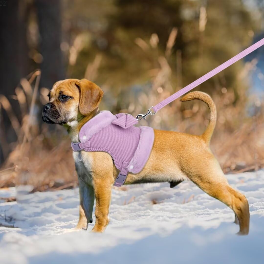 Cute Small Dog Harness Set – Bow Tie Design