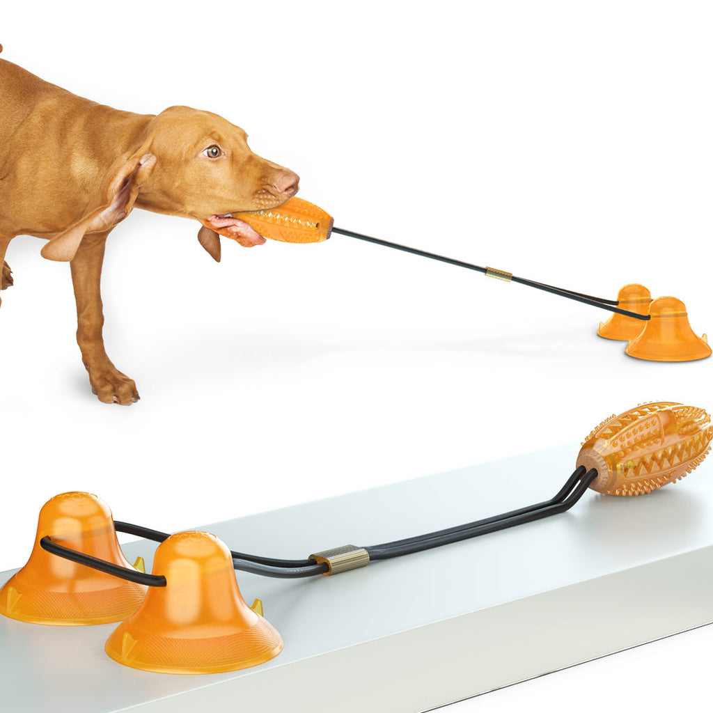 Double Tug Rope Dog Toy – Molar Bite Fun