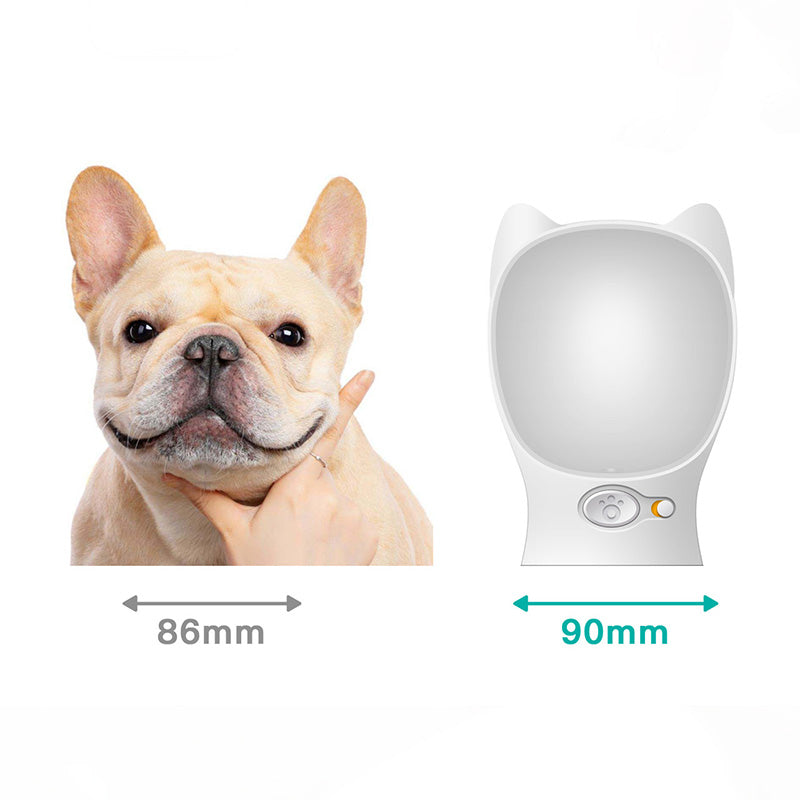 Portable Dog Water Bottle Drinker for Outdoor Travel
