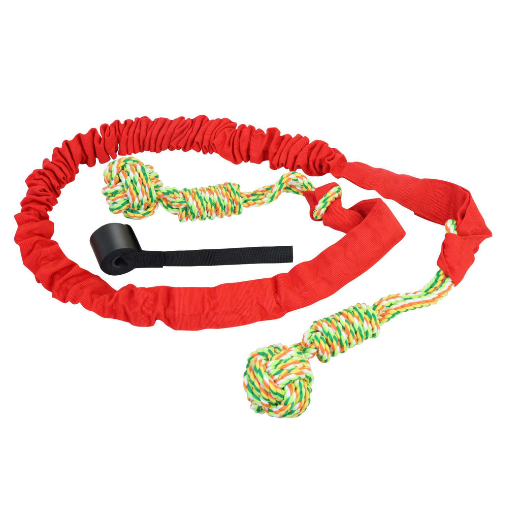 Dog Tug of War Rope – Teeth Grinding Toy