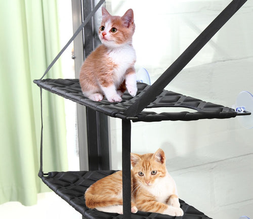 Cat Window Perch – Sunny Spot for Happy Naps