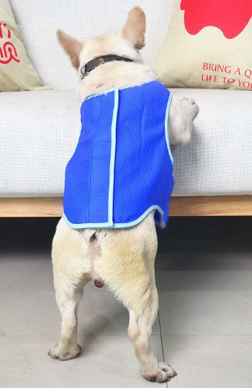 PVA Cooling Vest – Summer Dog & Cat Wear