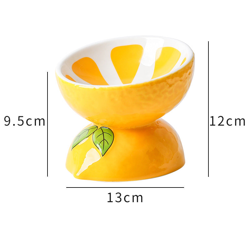 Ceramic Raised Cat Bowl – Anti Vomit Tilted Feeder