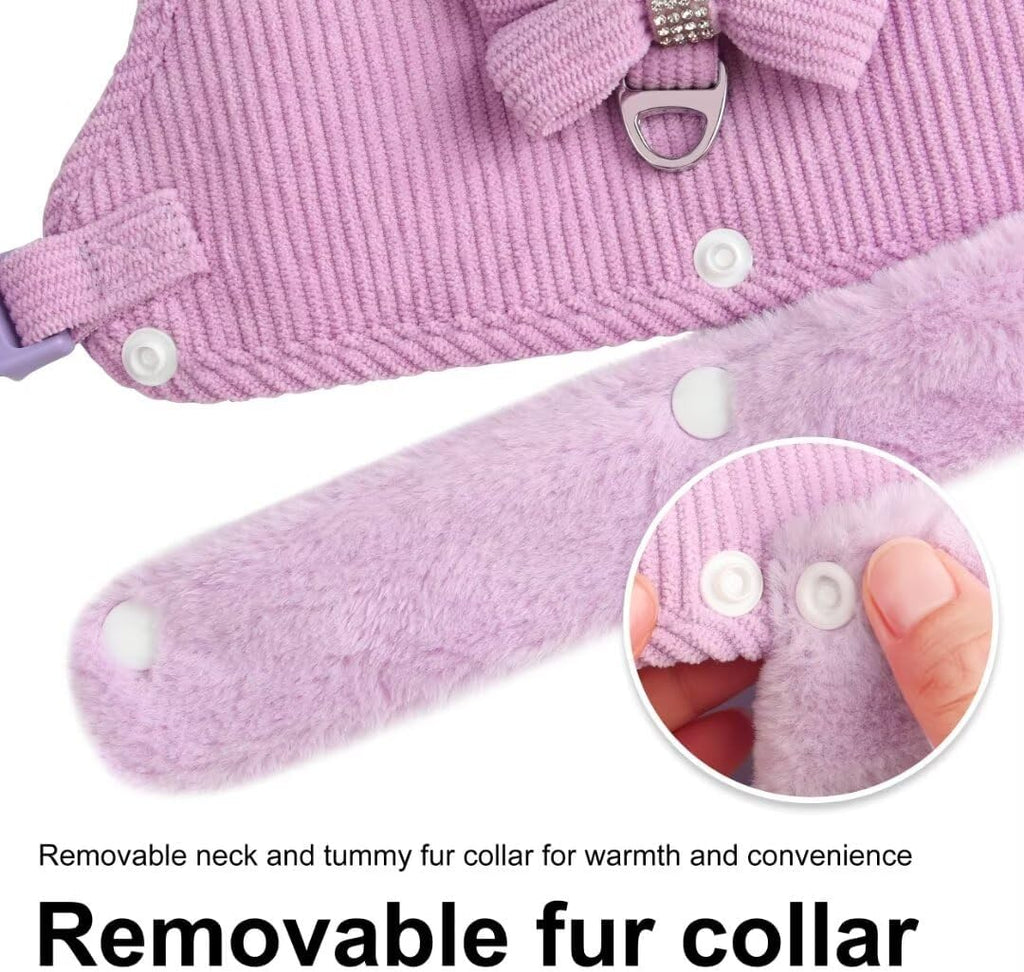 Cute Small Dog Harness Set – Bow Tie Design