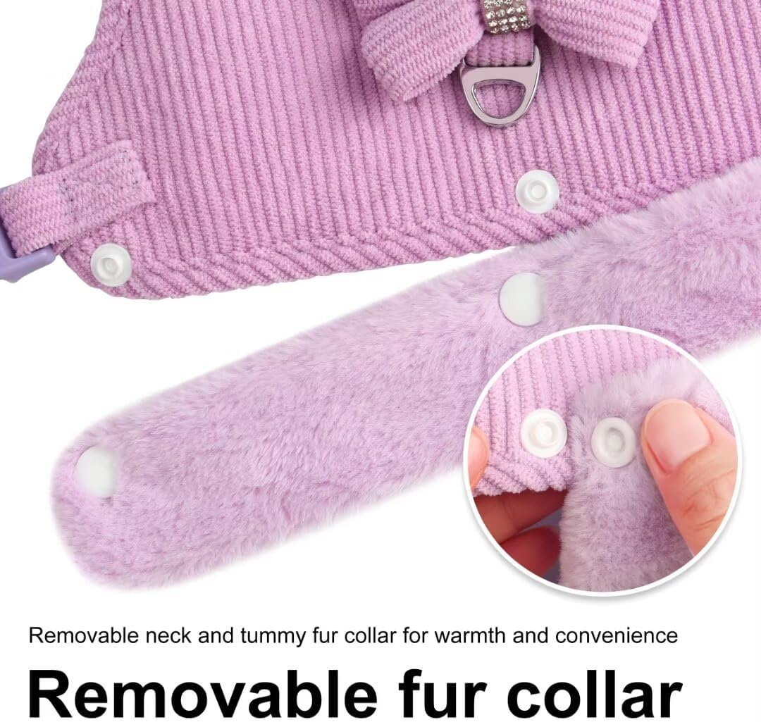 Cute Small Dog Harness Set – Bow Tie Design