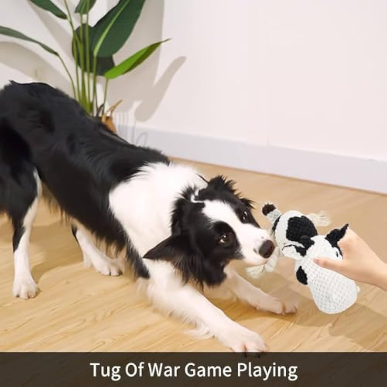 Squeaky Cow Dog Toy – Durable Plush Chew