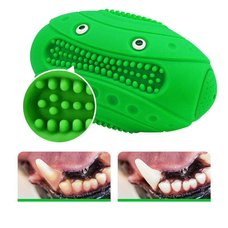 Frog Rugby Dog Toy – Floating Water Squeaky Fun