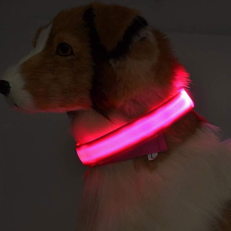 LED Glow Pet Collar – Night Safety for Dogs & Cats