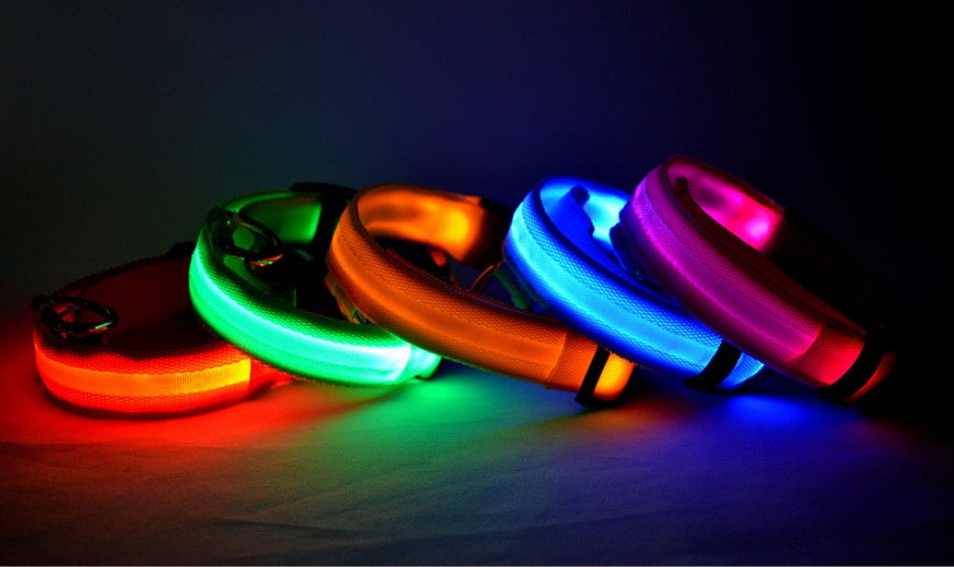 LED Glow Pet Collar – Night Safety for Dogs & Cats