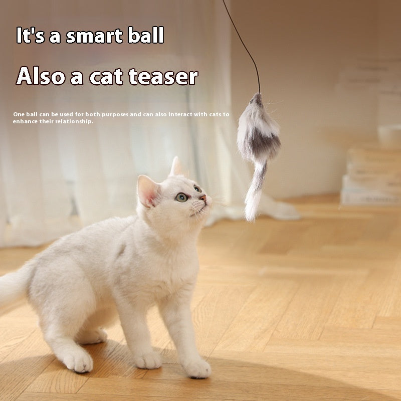 Electric Teaser Ball – Automatic Rolling Cat Toy
