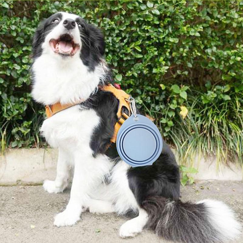 Foldable Pet Bowl – Silicone Outdoor Feeding Dish