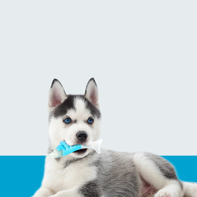 PU Nylon Dog Chew Toy – Seahorse & Tuna Set