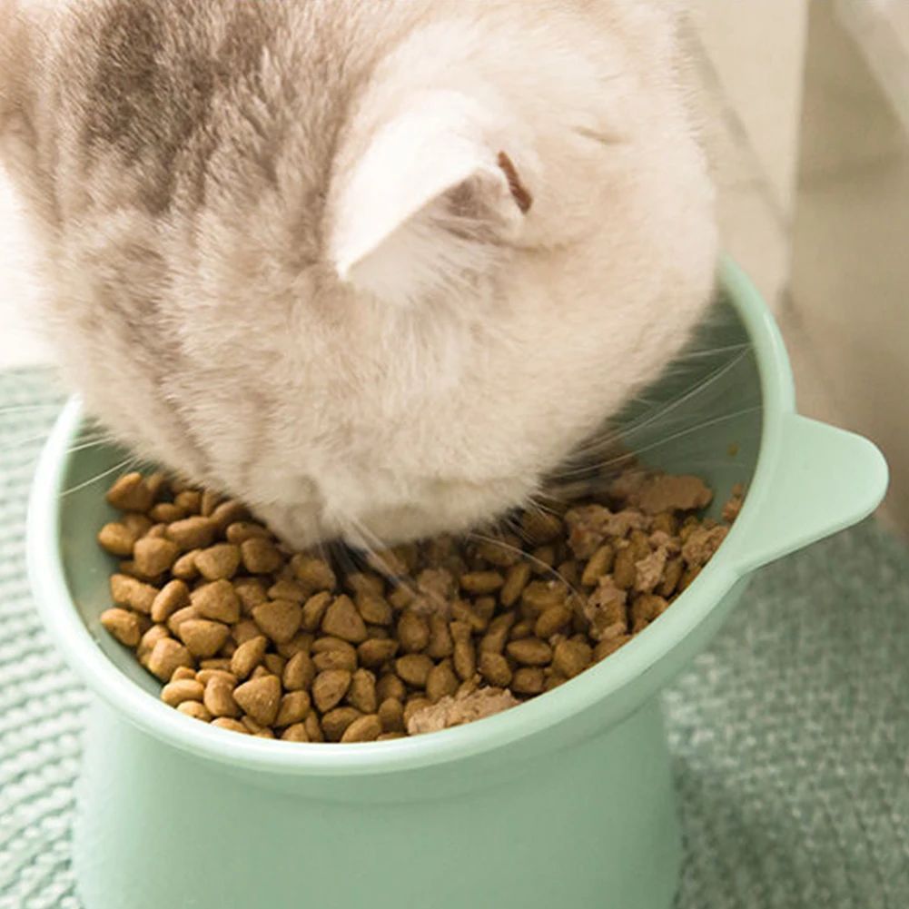 Elevated Tilted Pet Bowl – Anti Vomiting Feeding Dish