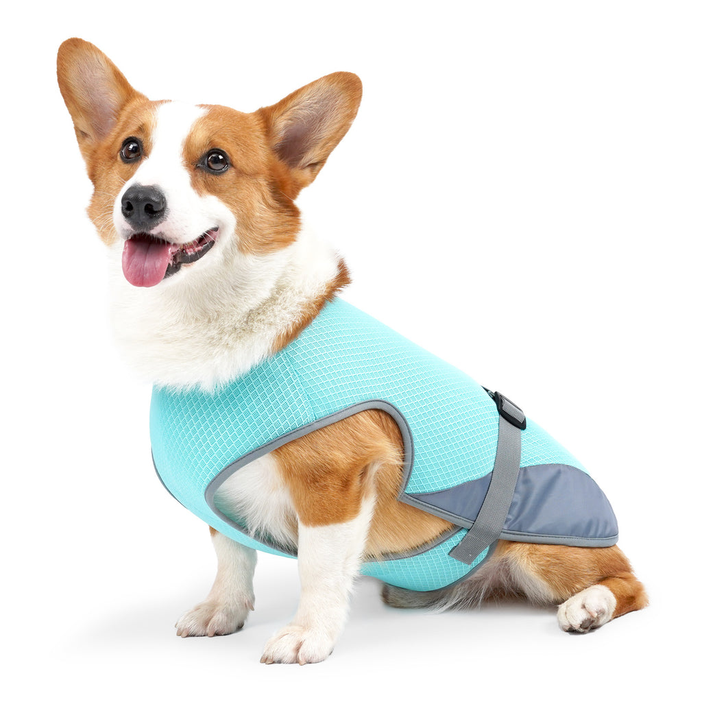 Cooling Dog Vest – Breathable Heatstroke Protection