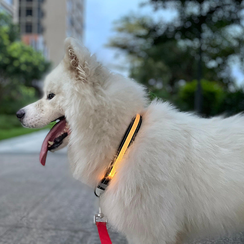USB Charging Shiny Dog Collar – Night Safety Glow