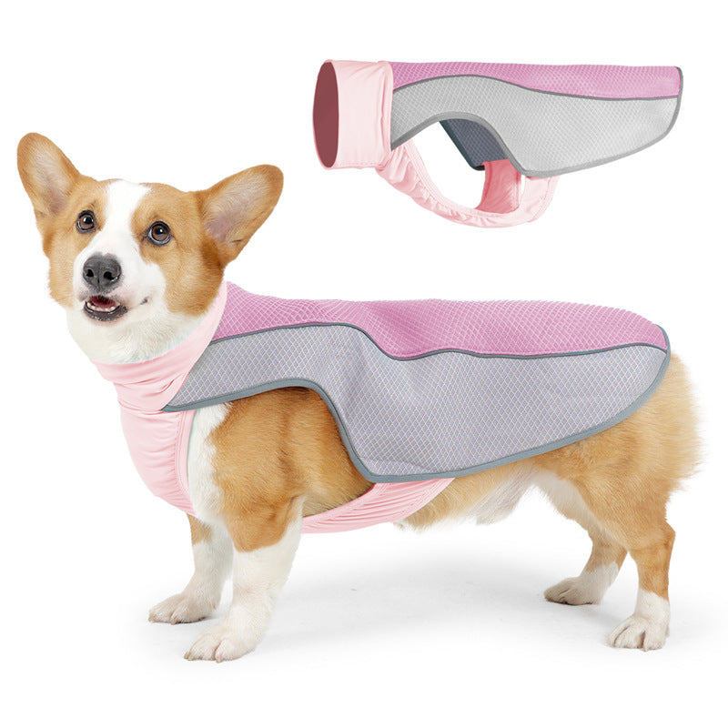 Cooling Dog Vest – Breathable Heatstroke Protection