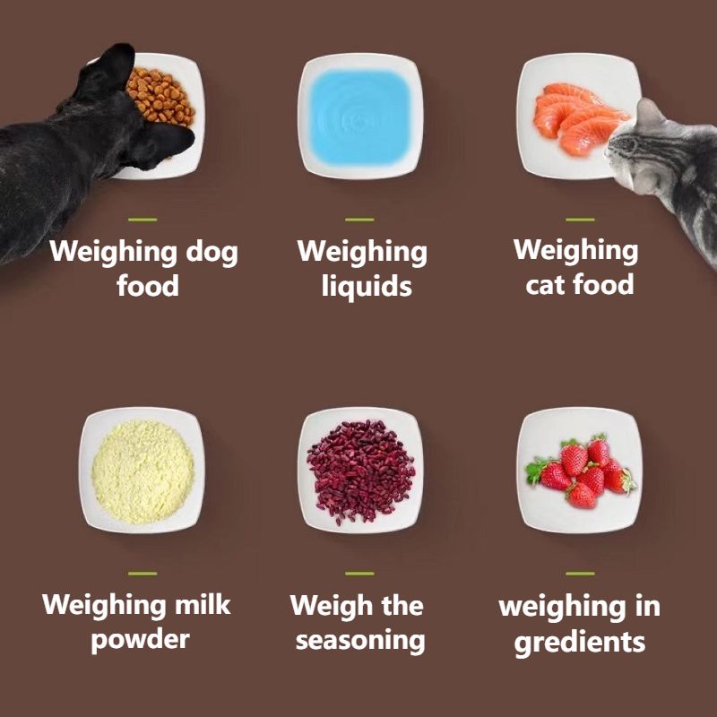 Transparent Pet Food Spoon – Accurate Scale Measurement