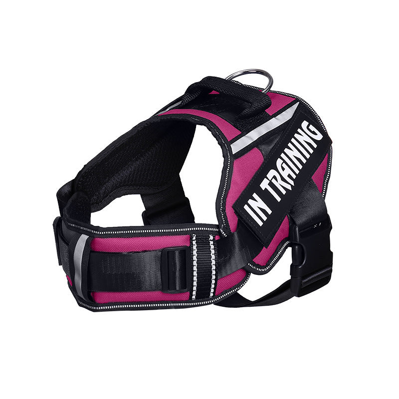 Reflective Dog Leash for Chest Harness – Safe Walking Lead