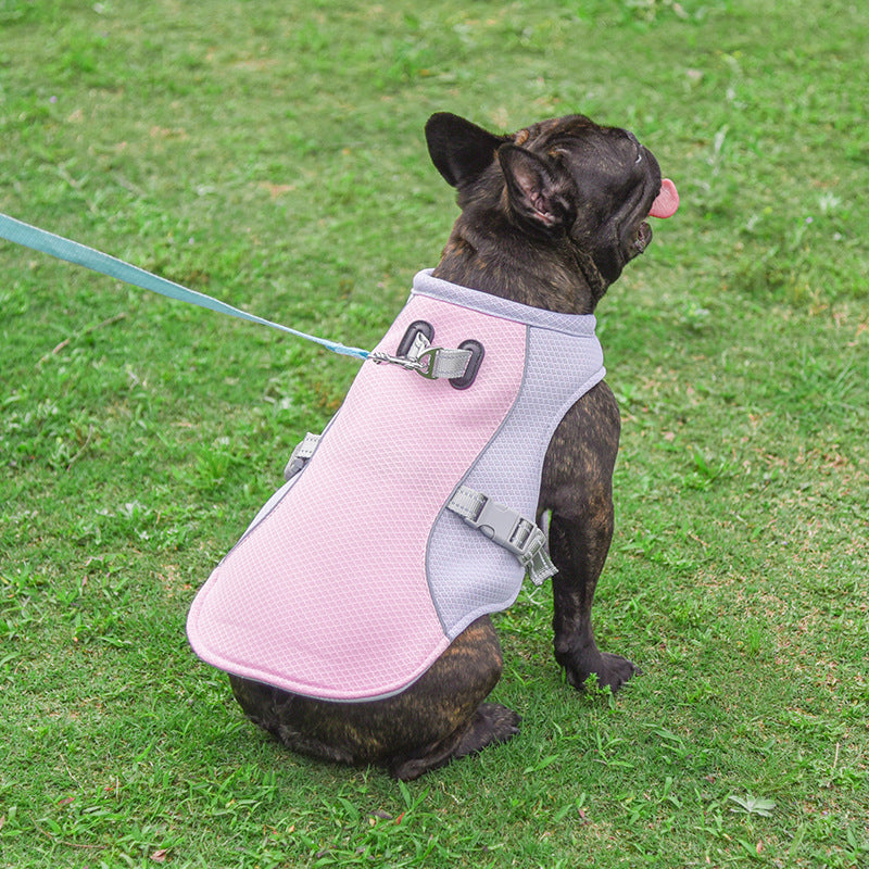 Summer Pet Cooling Vest – Breathable Comfort