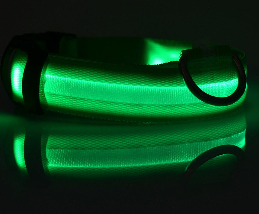 LED Glow Pet Collar – Night Safety for Dogs & Cats