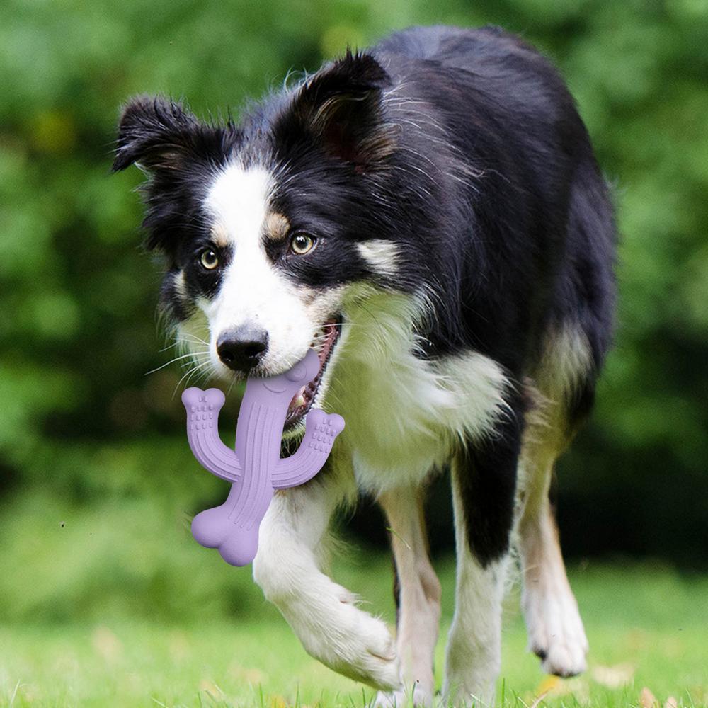 Indestructible Cactus Dog Toy – Tough Chewer Friendly