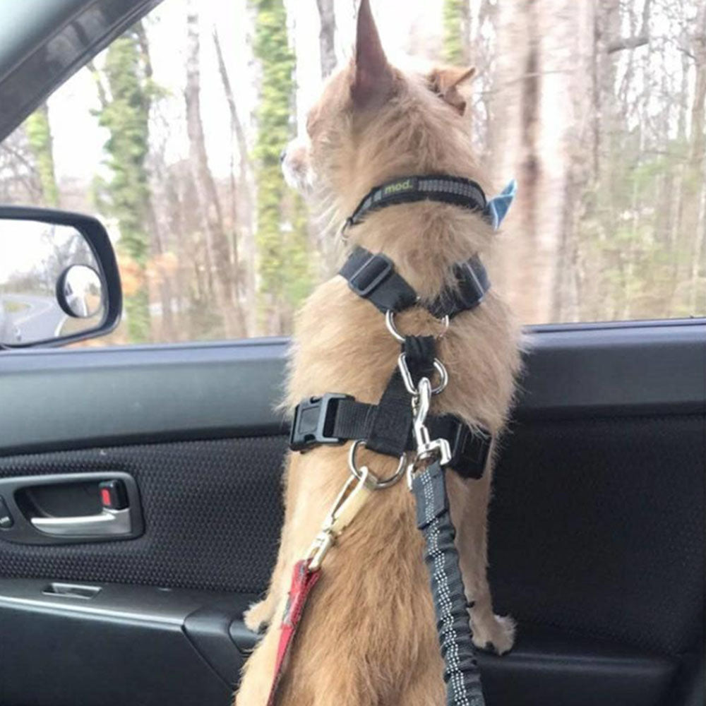 Adjustable Dog Seat Belt – Reflective Elastic Harness