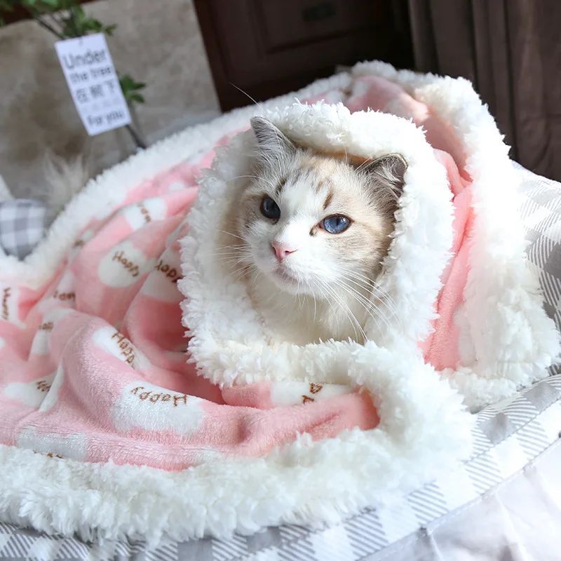 Thick Lamb Fleece Pet Blanket – Soft Winter Dog Cat Cushion