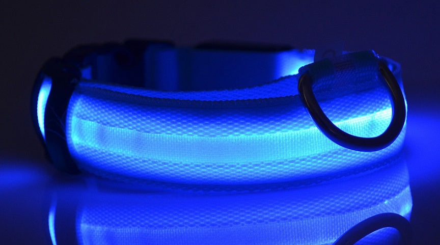 LED Glow Pet Collar – Night Safety for Dogs & Cats