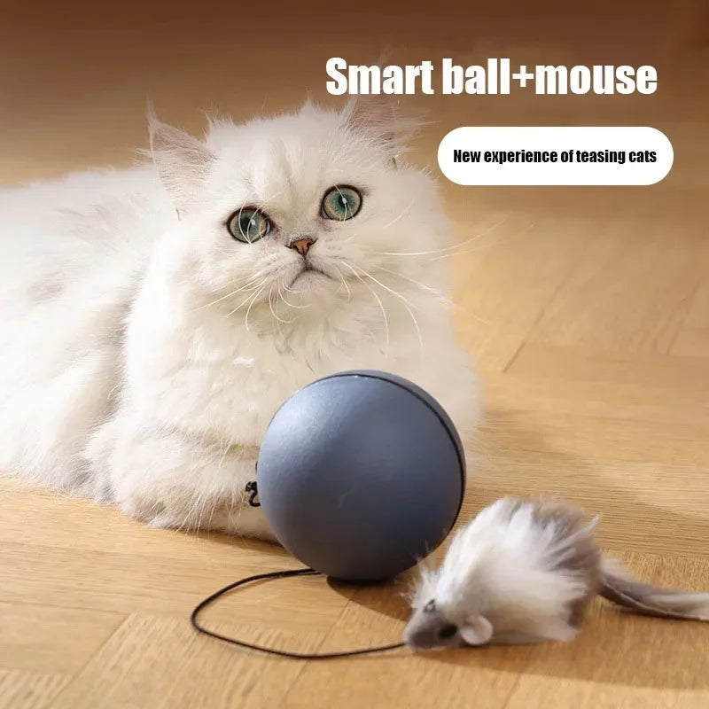 Electric Teaser Ball – Automatic Rolling Cat Toy