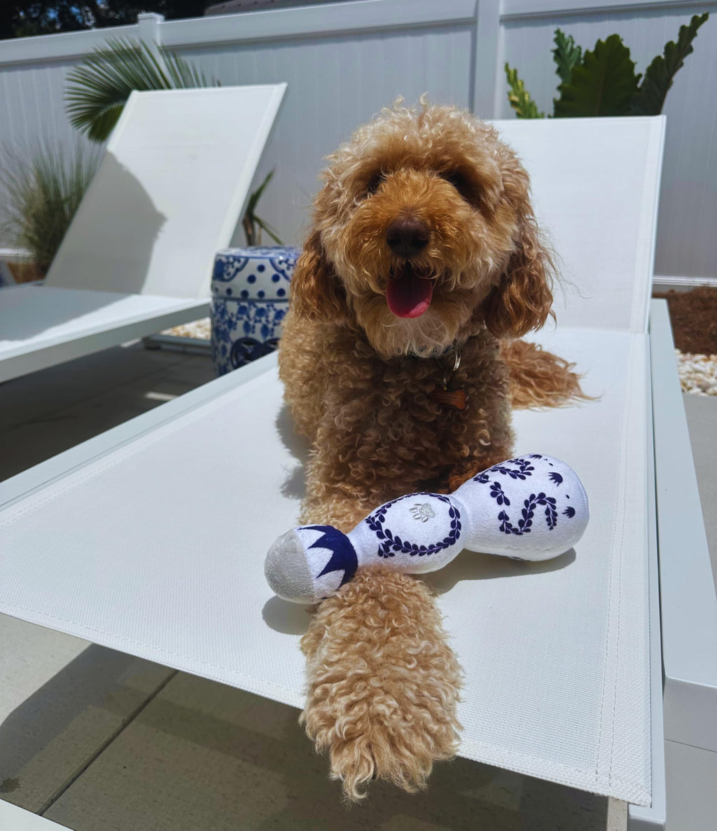 Funny Tequila Dog Toy – Plush Squeaky Birthday Gift