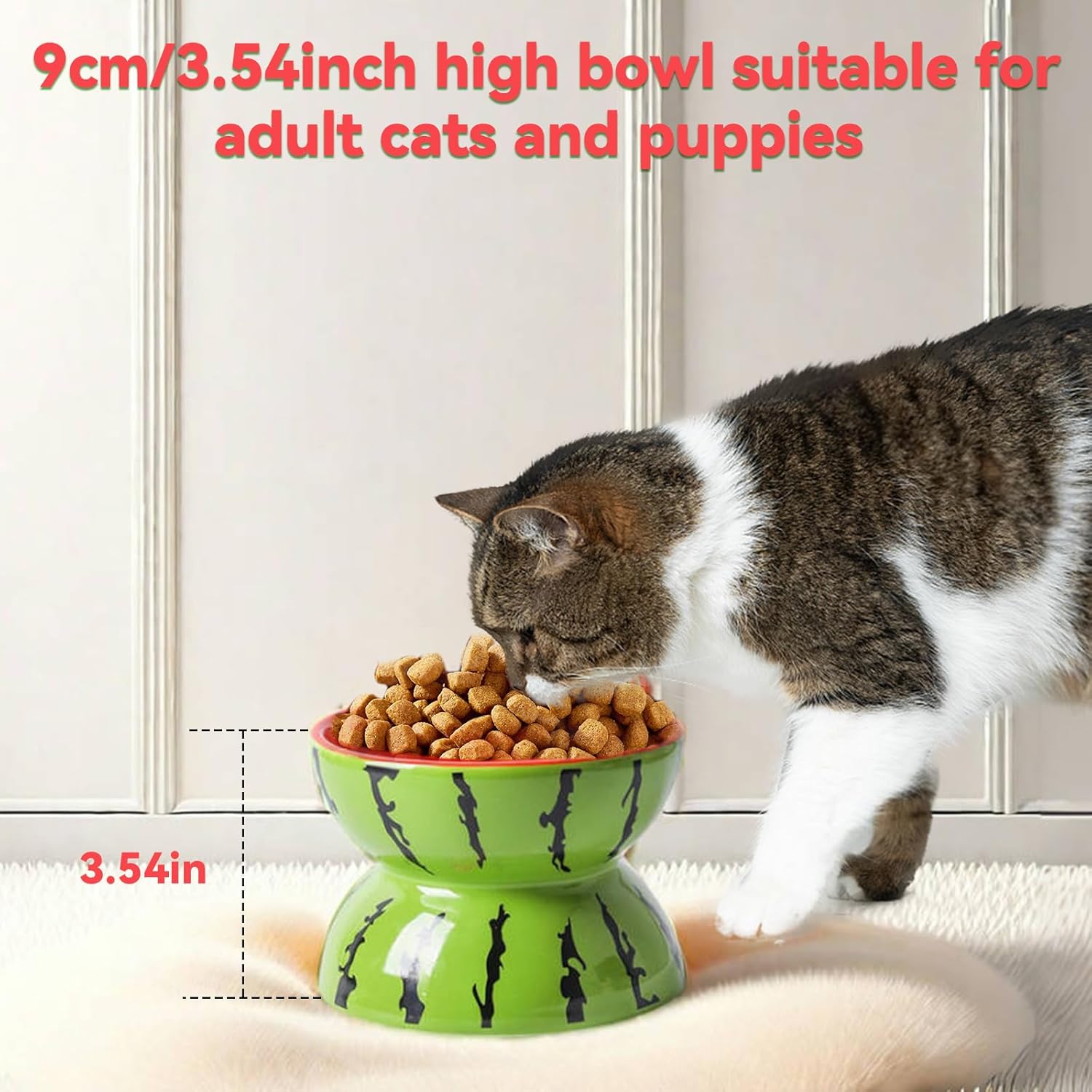 Ceramic Raised Cat Bowl – Anti Vomit Tilted Feeder