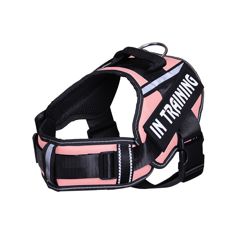 Reflective Dog Leash for Chest Harness – Safe Walking Lead