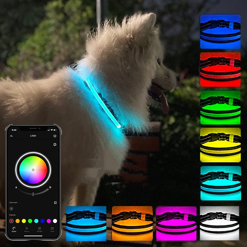 USB Charging Shiny Dog Collar – Night Safety Glow