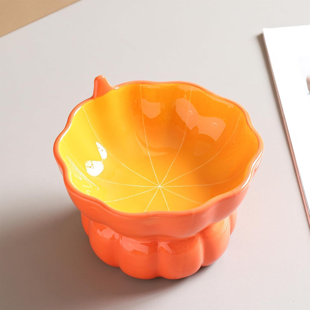 Ceramic Elevated Cat Bowl – Spine Friendly Feeding