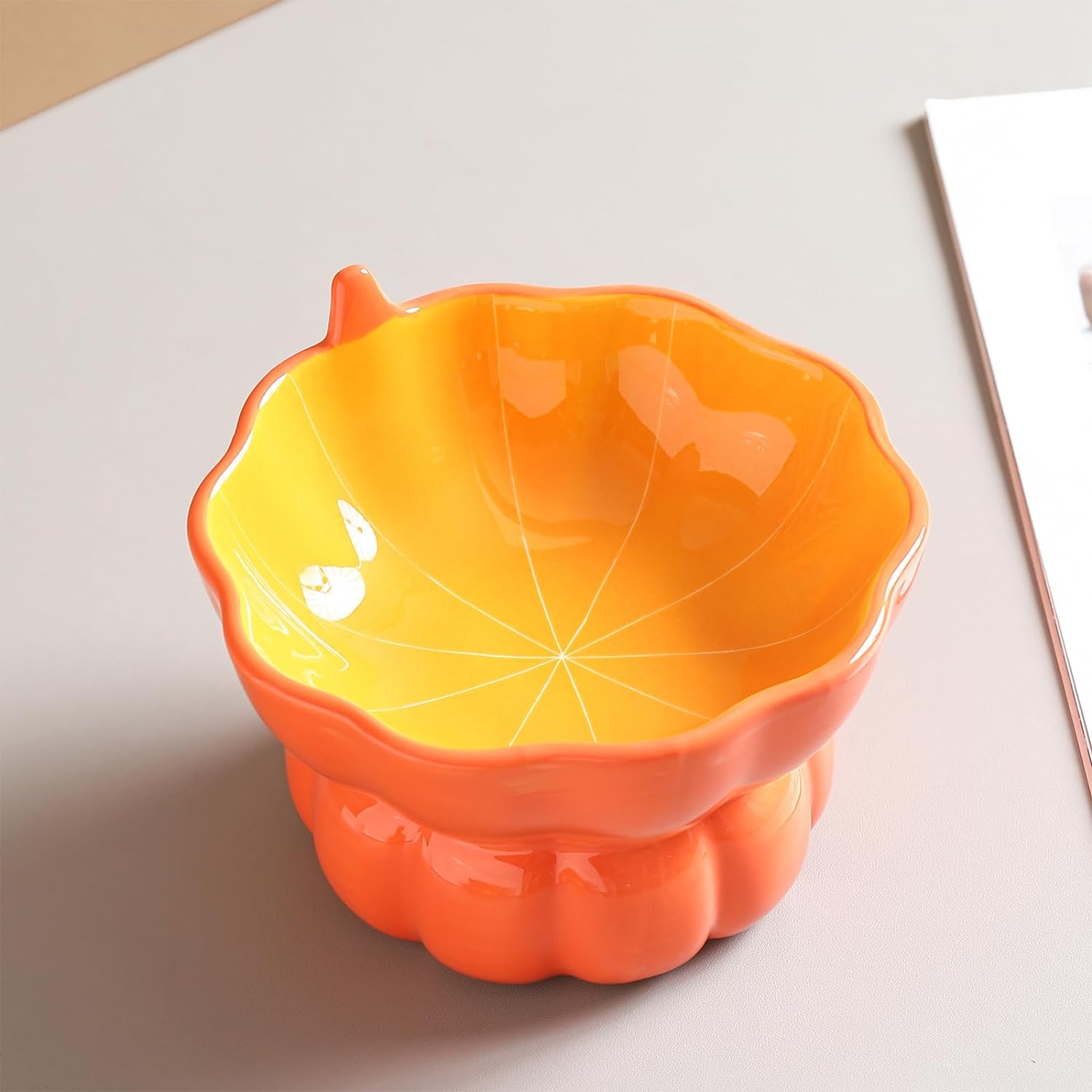 Ceramic Elevated Cat Bowl – Spine Friendly Feeding