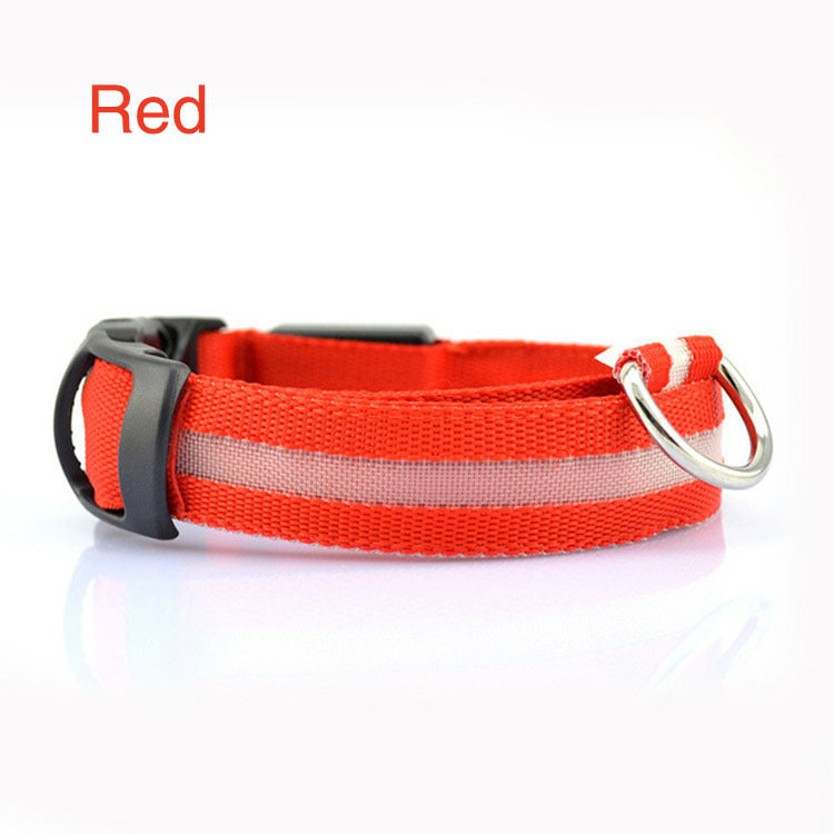 Safety Dog LED Collar – High Visibility Night Light