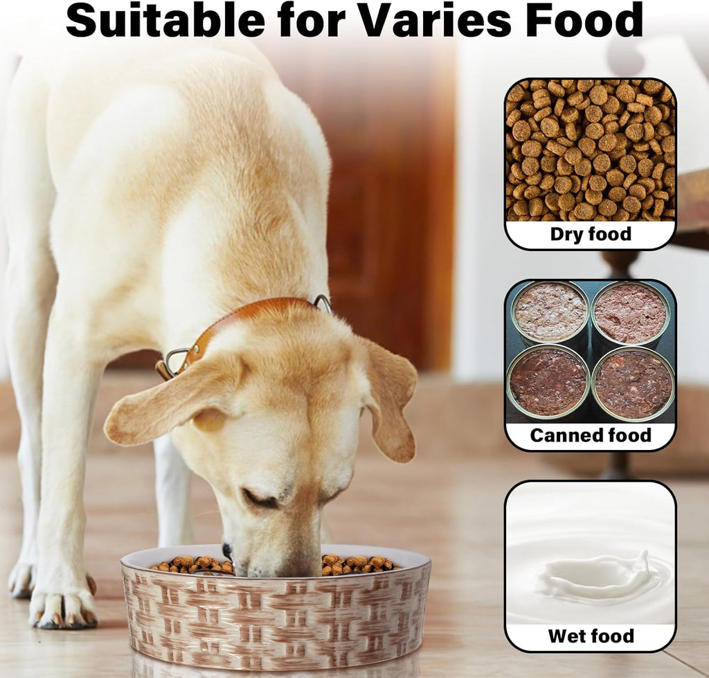 Non-Slip Ceramic Slow Feeder – Safe Eating for Pets