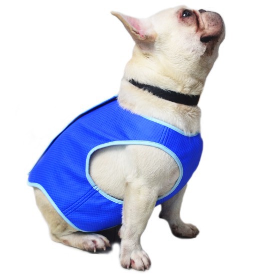 PVA Cooling Vest – Summer Dog & Cat Wear