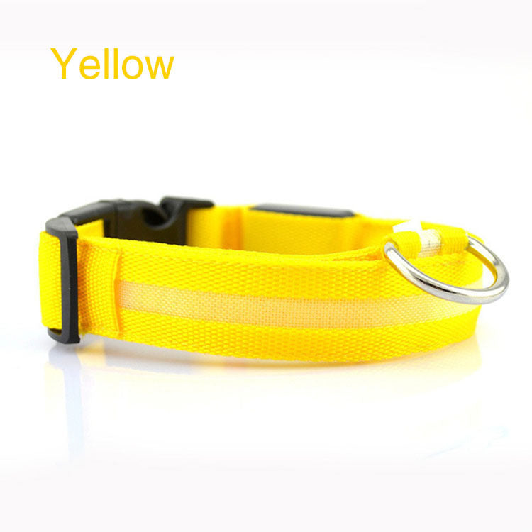 Safety Dog LED Collar – High Visibility Night Light