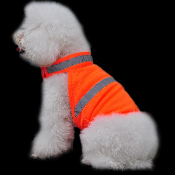 Fluorescent Dog Vest – High Visibility Safety Wear