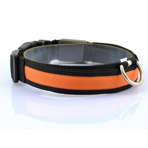 Vibrant LED Dog Collar – Bright Night Glow