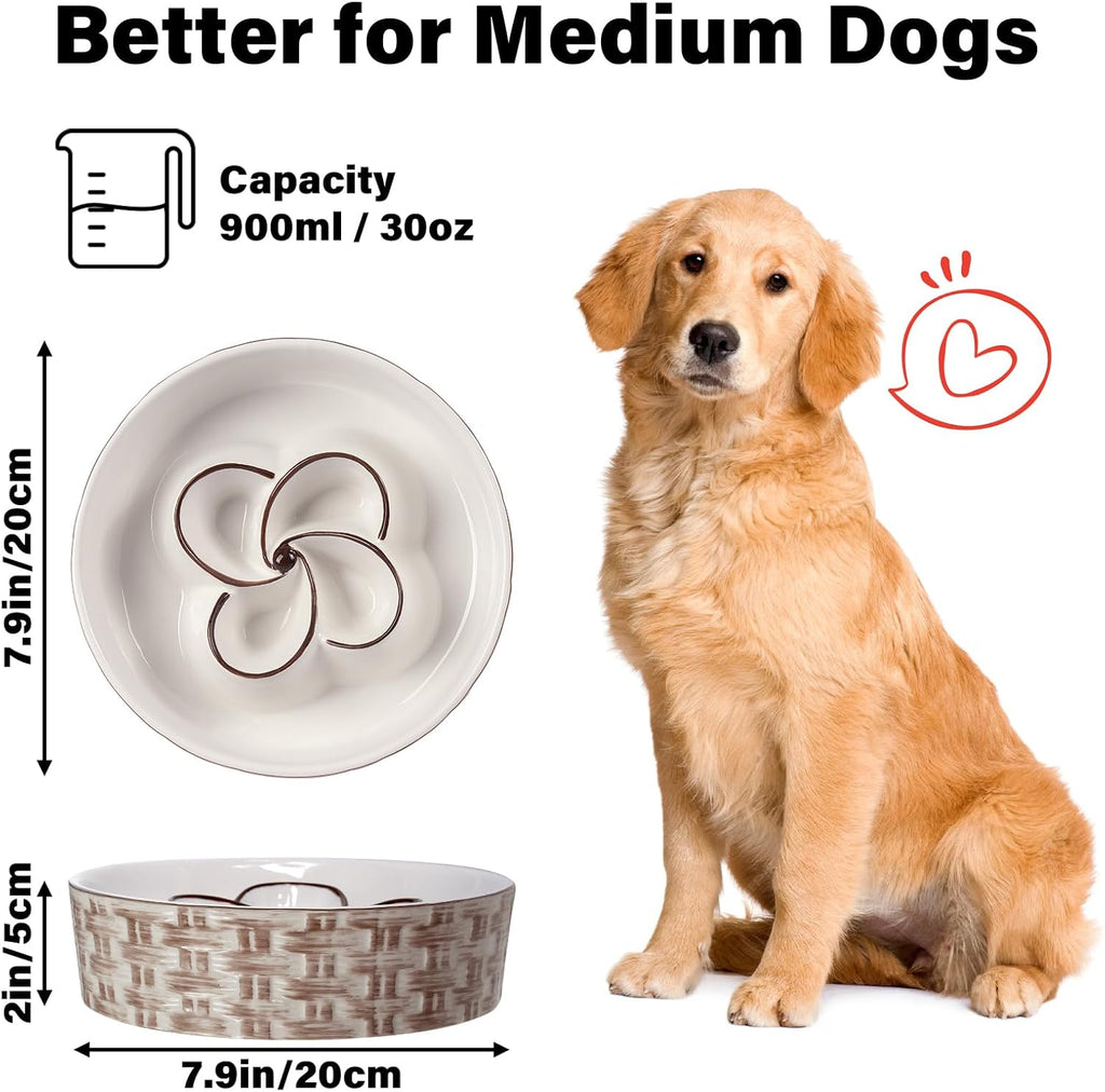 Non-Slip Ceramic Slow Feeder – Safe Eating for Pets